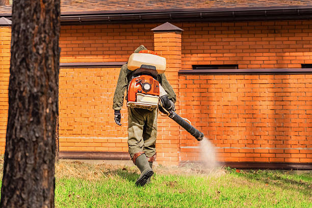 Trusted Emergency Pest Control service in Lakeview, NY - Nex Pest Control
